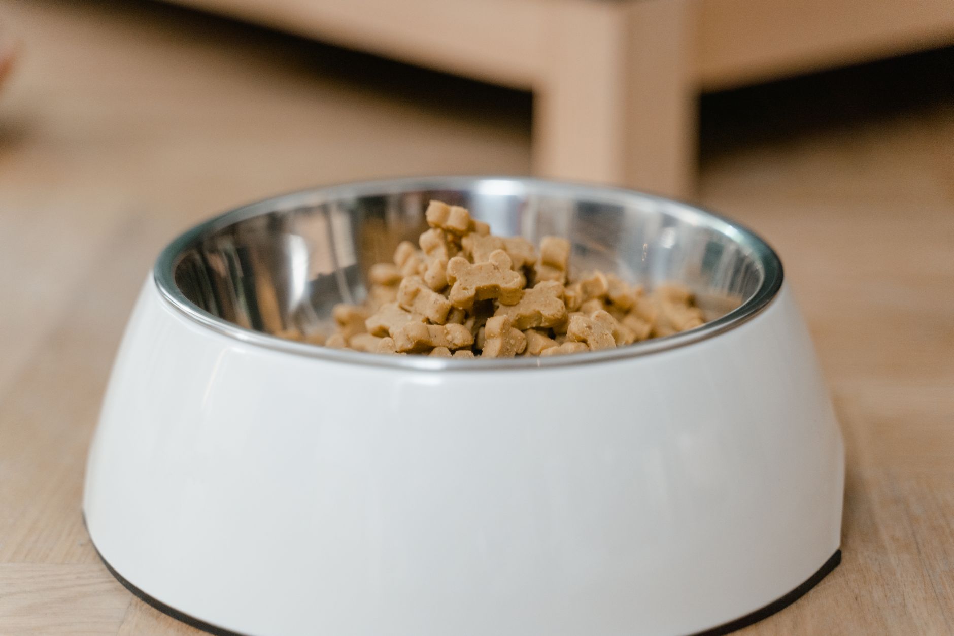 A bowl of dry dog food