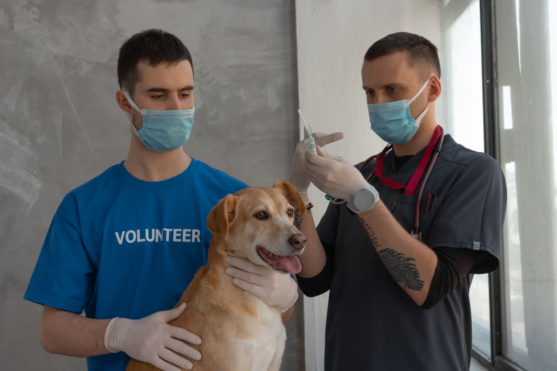 A veterinarian holding a syringe during a consultation